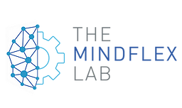 Mindflex Lab